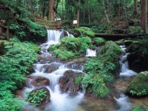 石川県　若狭のおすすめ観光名所　瓜割の滝